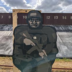 Swedish Combat Team